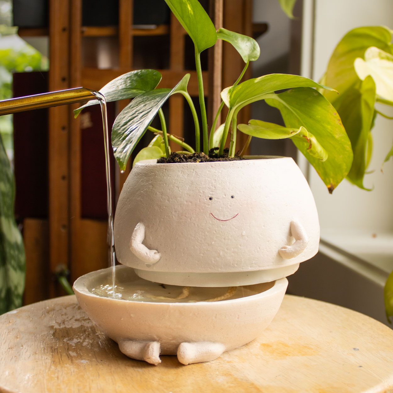 Personality Planters