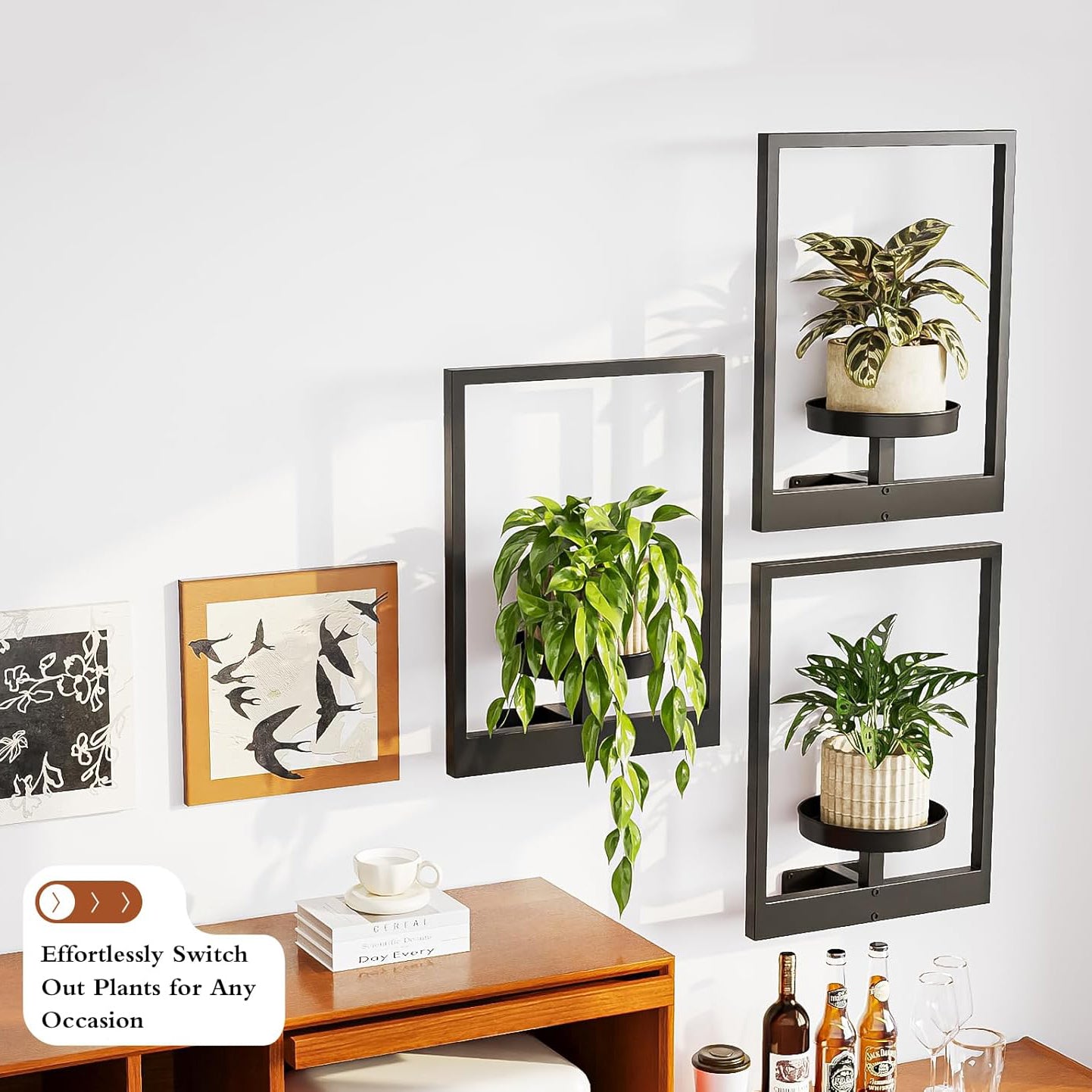 A living plant frame showcasing a lush arrangement of ferns, moss, and trailing plants in a wooden frame.