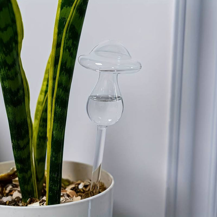 house plant paradise mushroom Glass Watering Mushroom