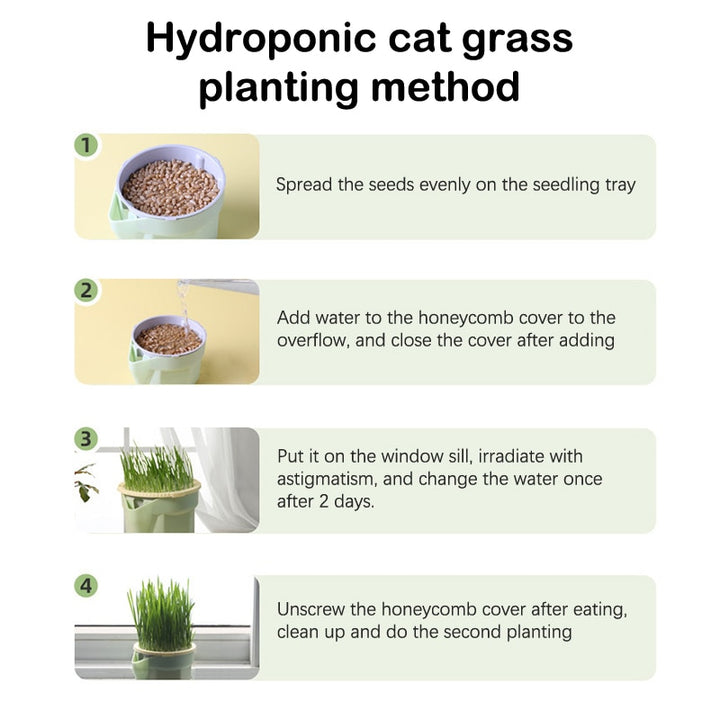 hydroponic cat grass planter instructions Kitty Grass Cup – House Plant Paradise