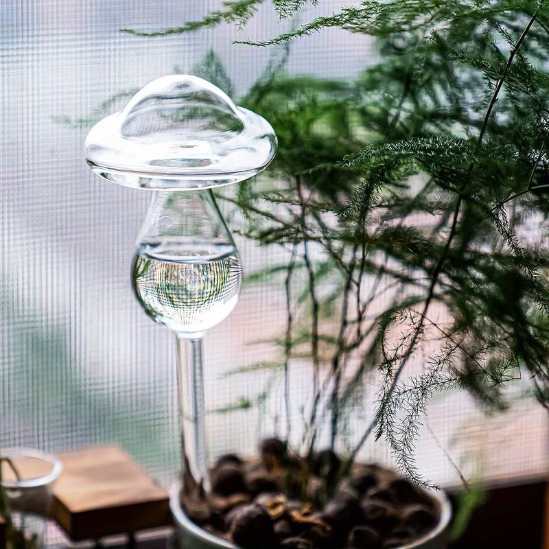 house plant paradise mushroom Glass Watering Mushroom
