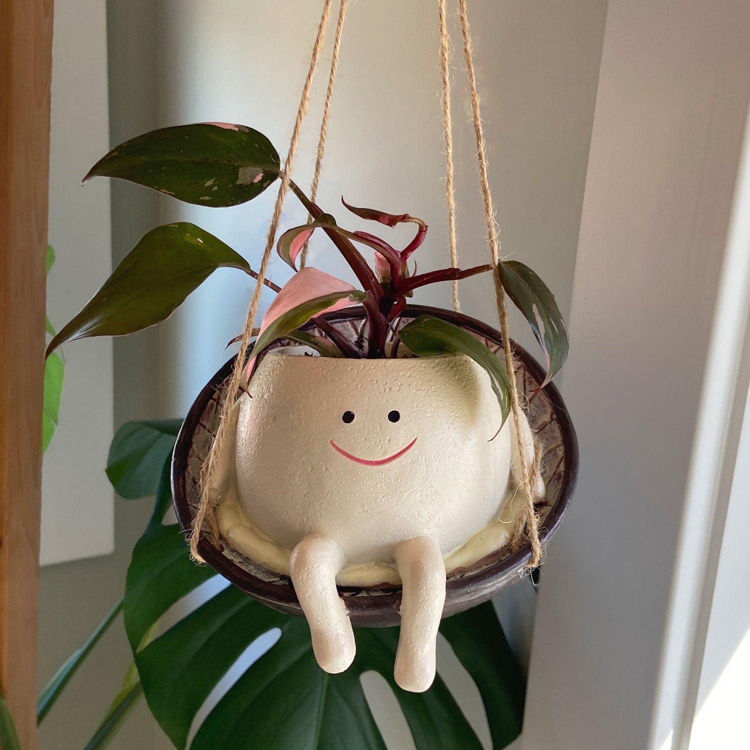 cute hanging plant pots Hammock Swing Smiley Pot – House Plant Paradise
