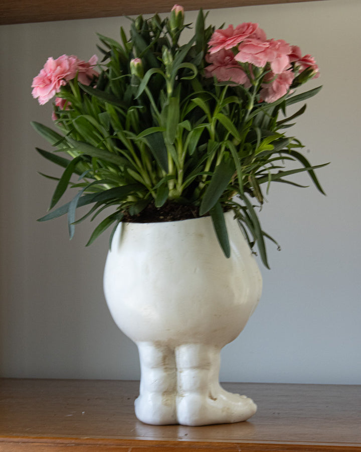 ugly plant pot Muggly Planters – House Plant Paradise