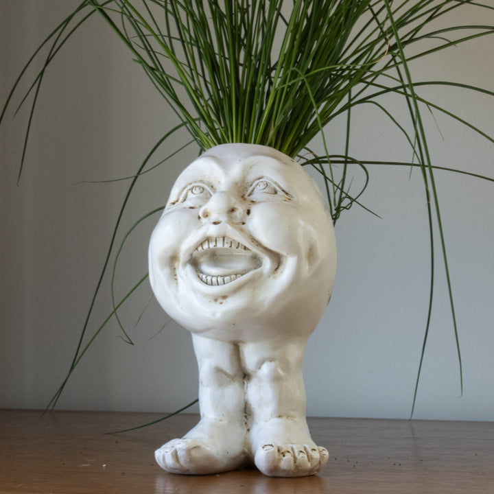 ugly plant pot Muggly Planters – House Plant Paradise