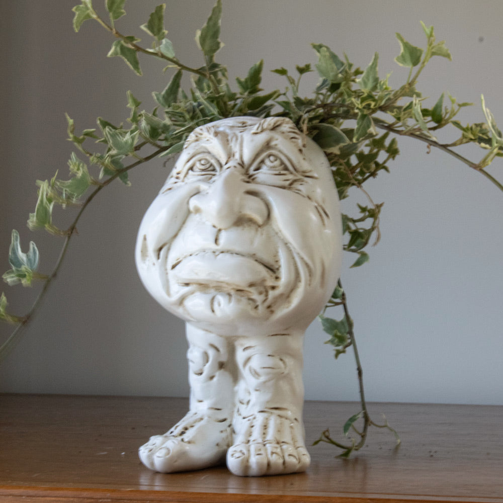Muggly Muggly Planters – House Plant Paradise