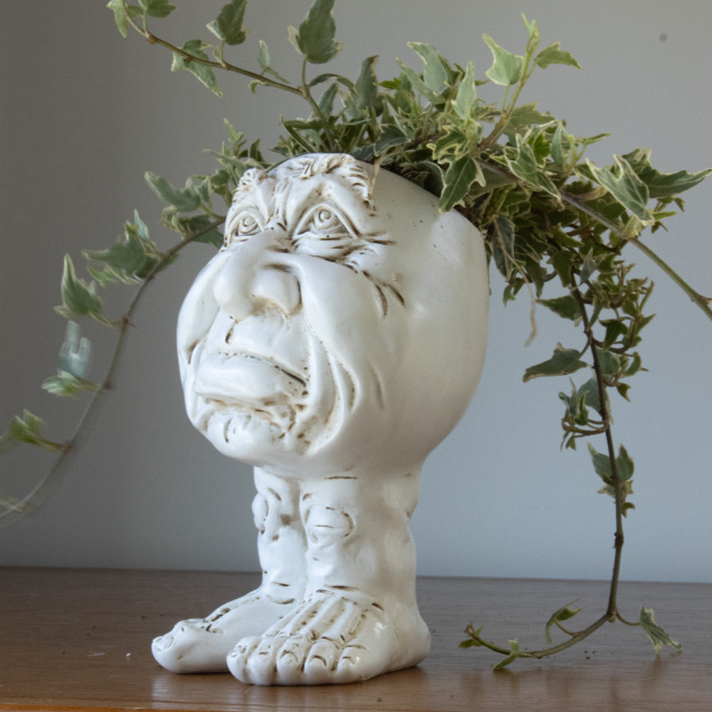Muggly Muggly Planters – House Plant Paradise