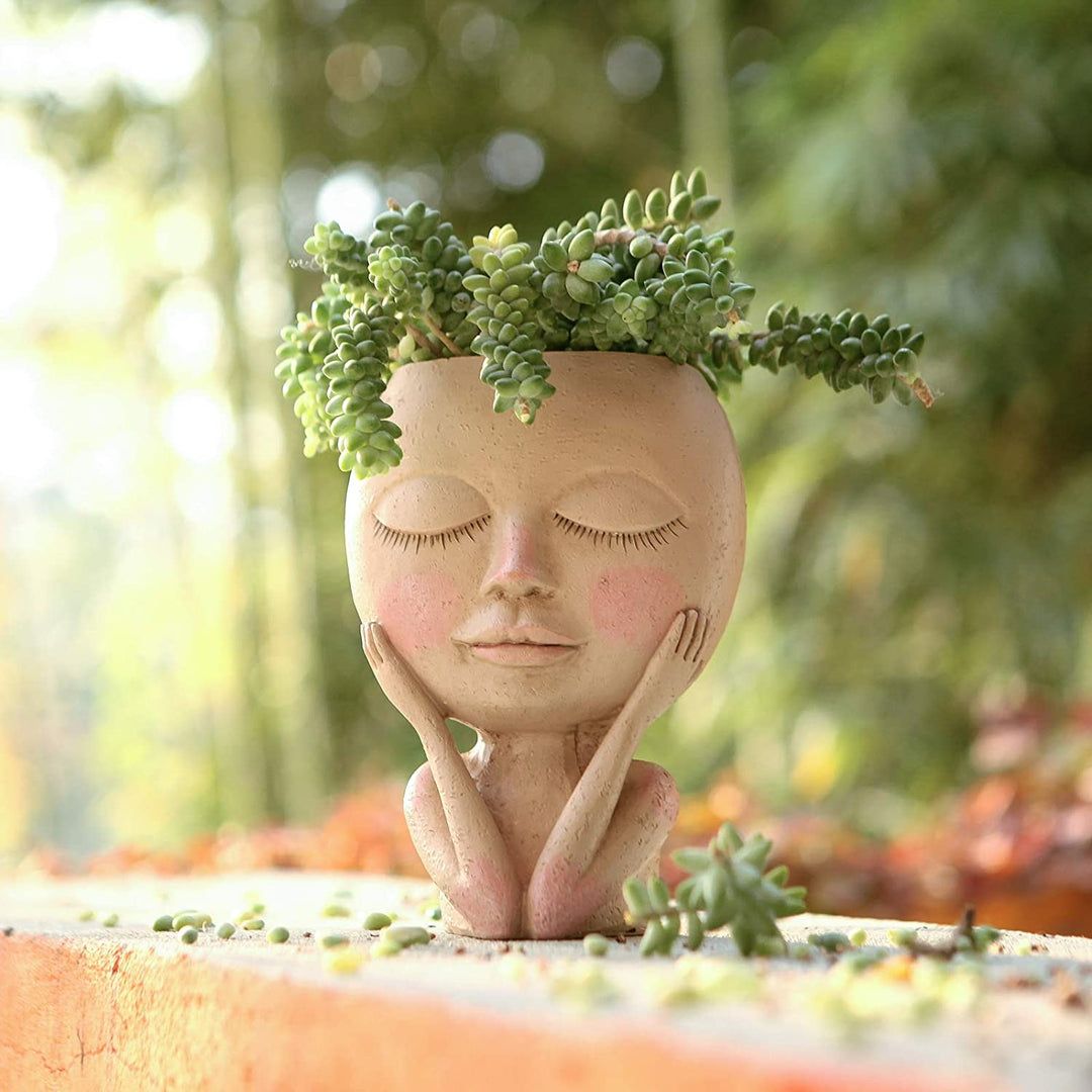 hair in potted plant Nordic Hair Planter – House Plant Paradise
