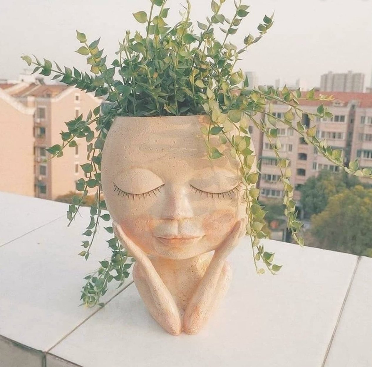 hair in plant pots Nordic Hair Planter – House Plant Paradise