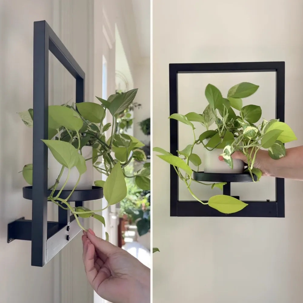 Verdant Living Art Frame