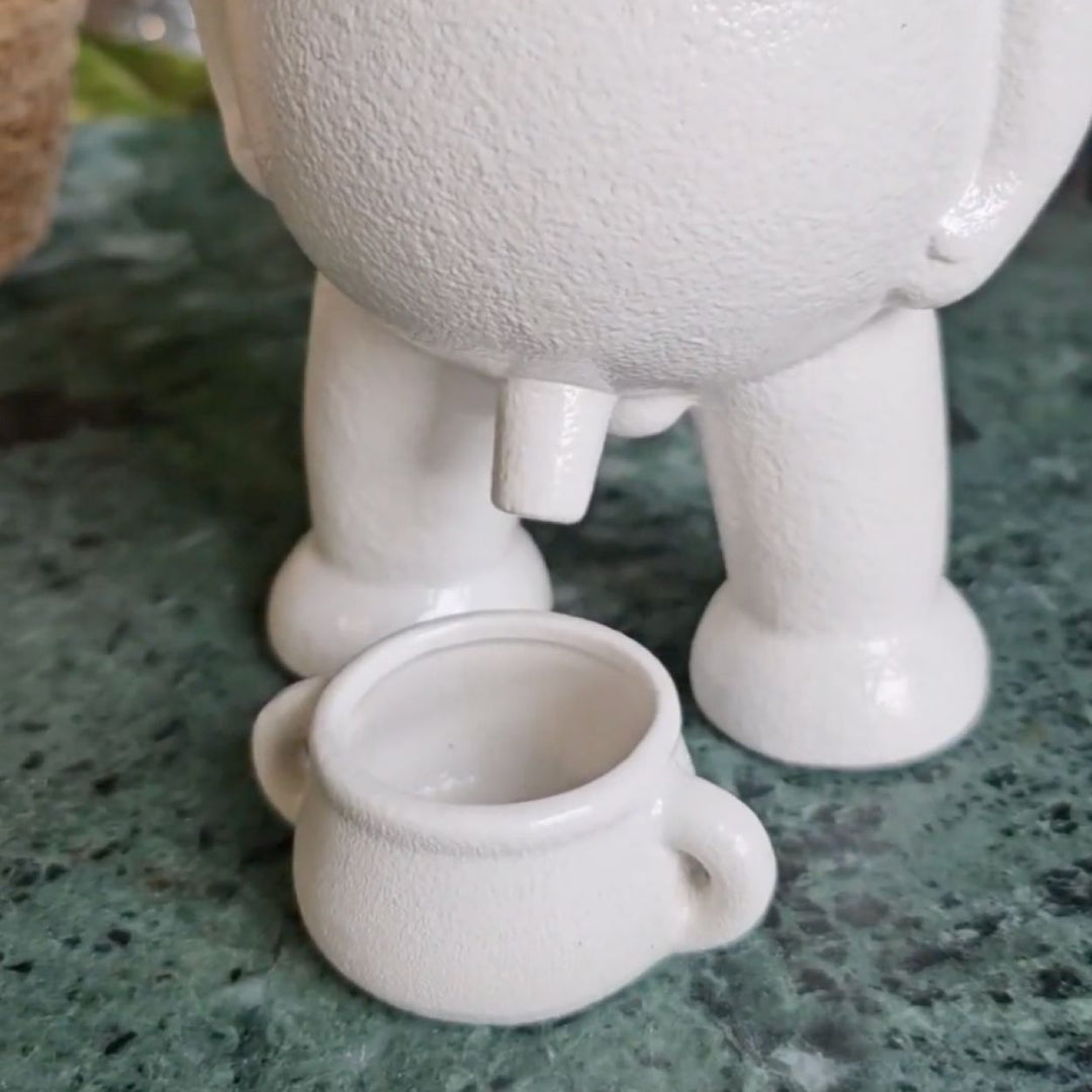 The Willy Pot – House Plant Paradise