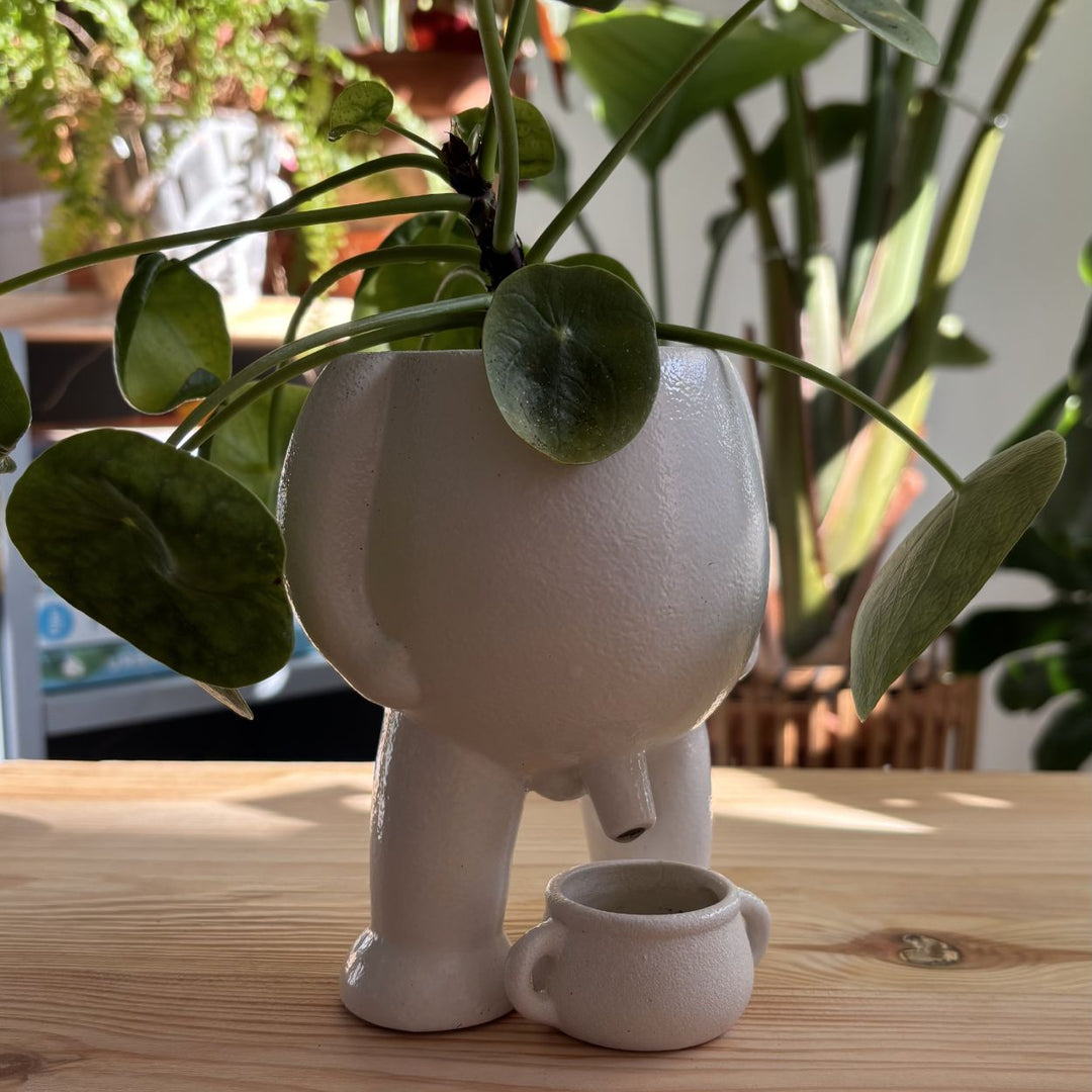 peeing planter pot The Willy Pot – House Plant Paradise