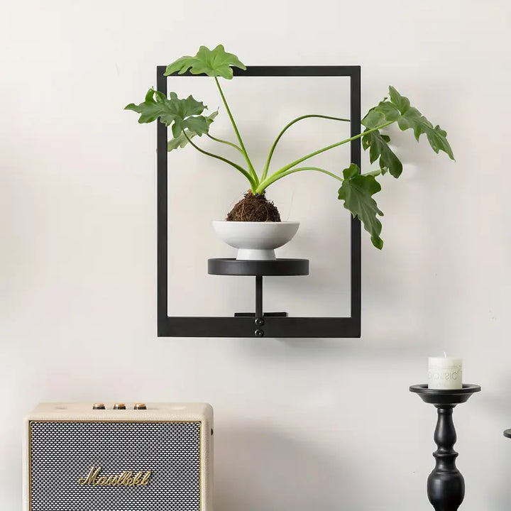 Living Art Plant Frame – House Plant Paradise