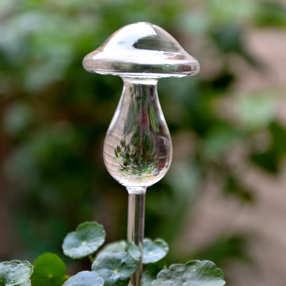 house plant paradise mushroom Glass Watering Mushroom