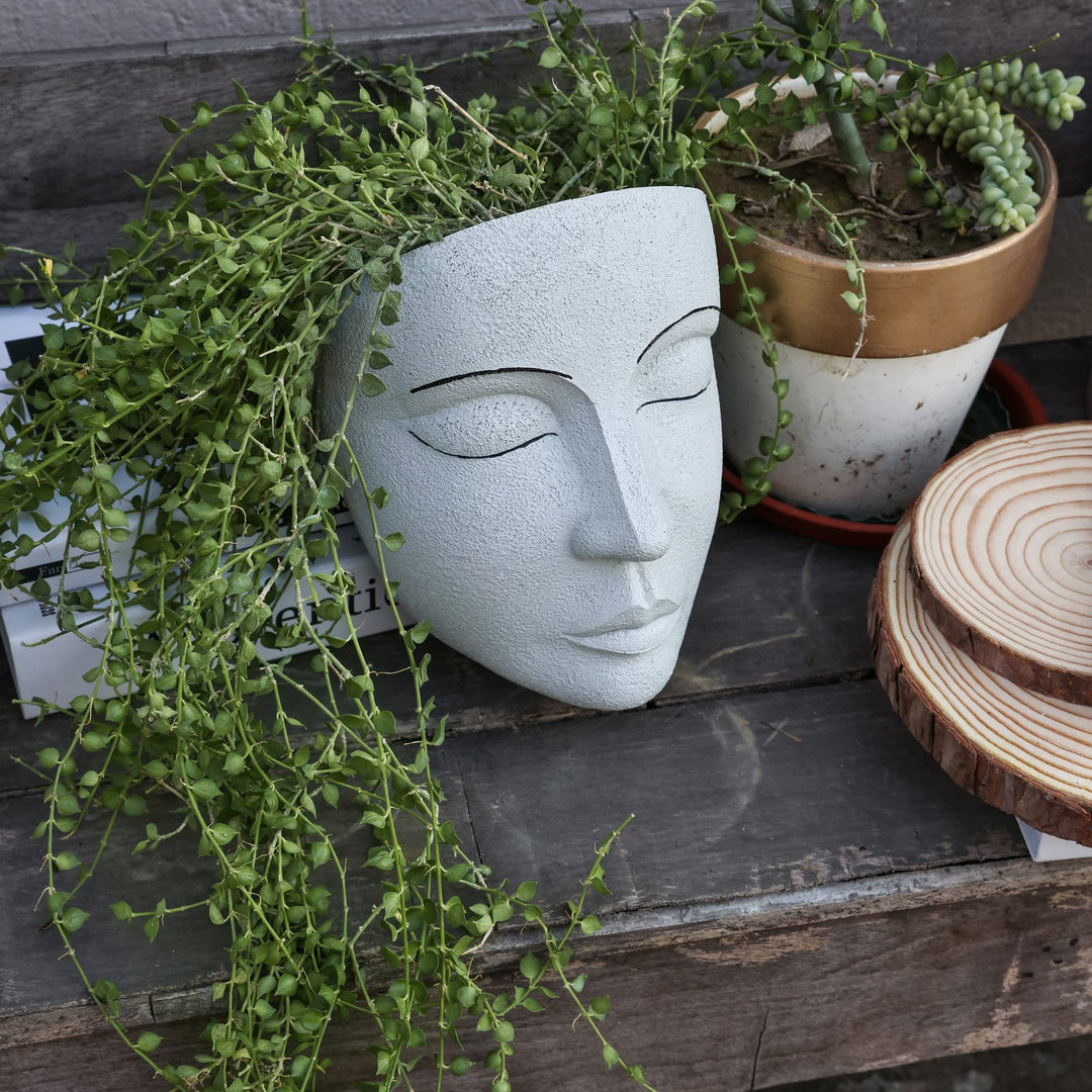 face planter wall hanging Face Wall Planter – House Plant Paradise