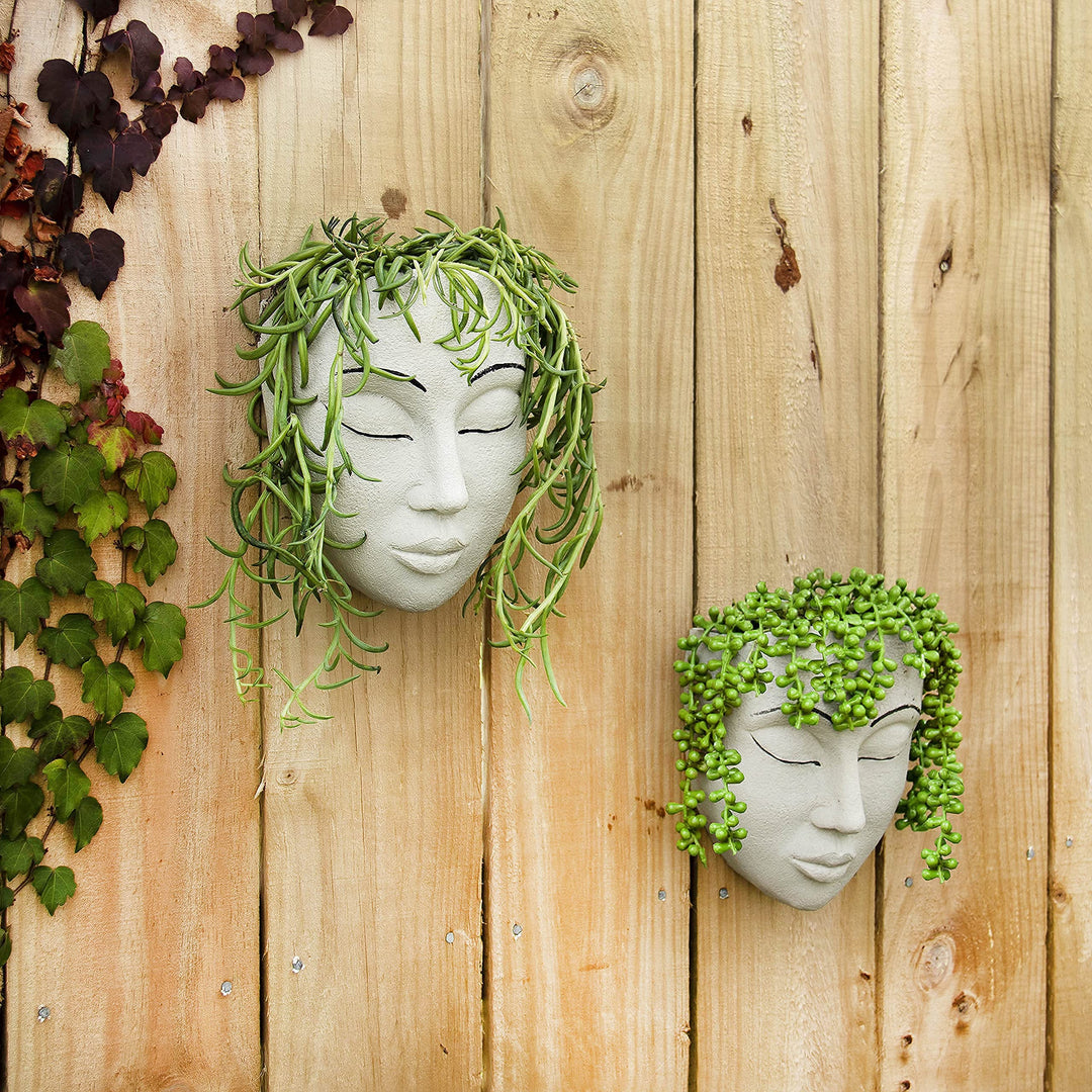 face planter wall hanging Face Wall Planter – House Plant Paradise