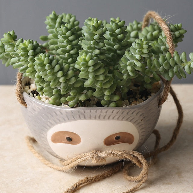 sloth pot plant Hanging Sloth Planter – House Plant Paradise